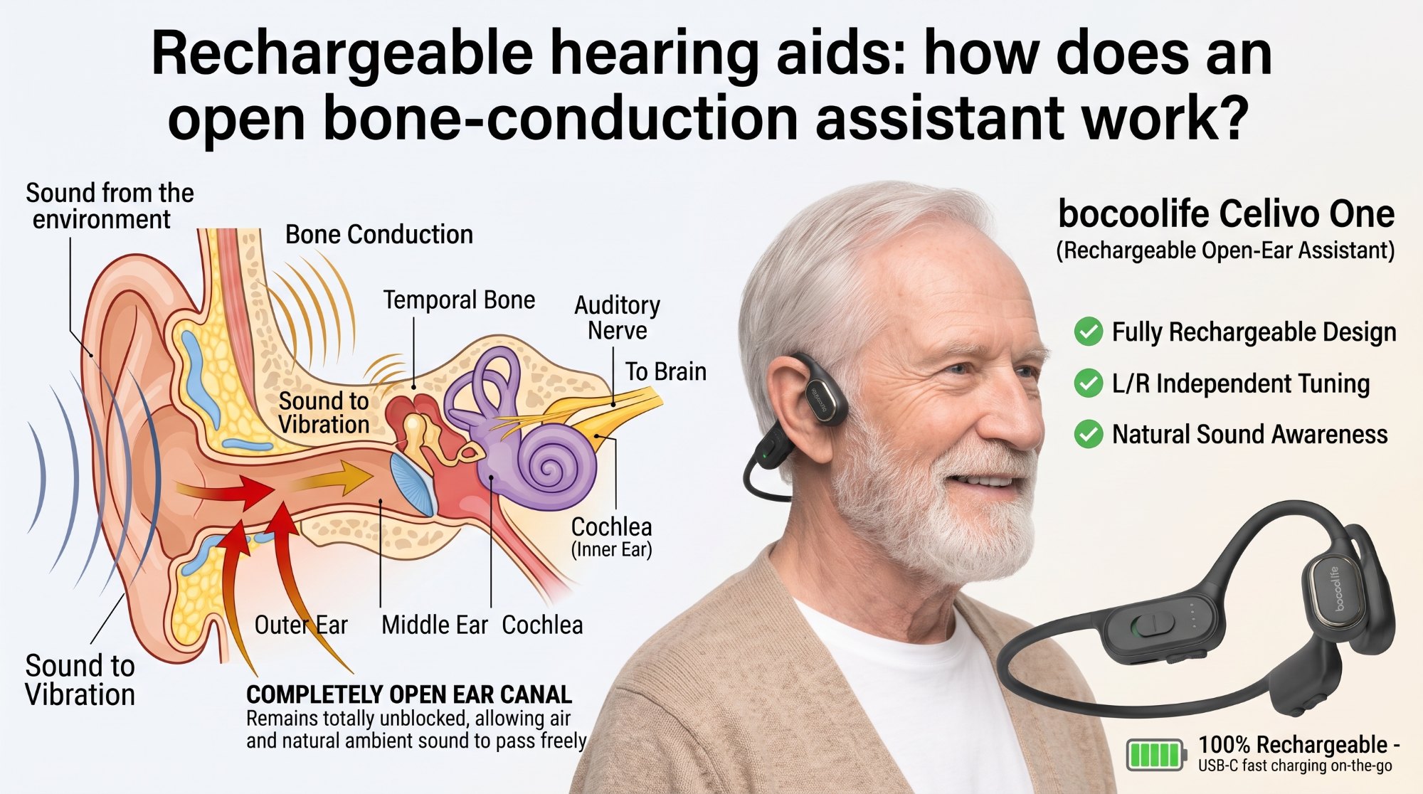Illustration for the bocoolife article “Rechargeable hearing aids: how does an open bone-conduction assistant work?”
